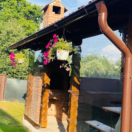 Casa Victoria Hotell Cîrţişoara Exteriör bild