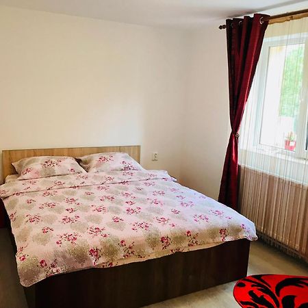 Casa Victoria Hotell Cîrţişoara Exteriör bild