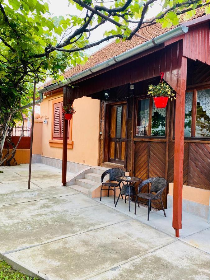 Casa Victoria Hotell Cîrţişoara Exteriör bild