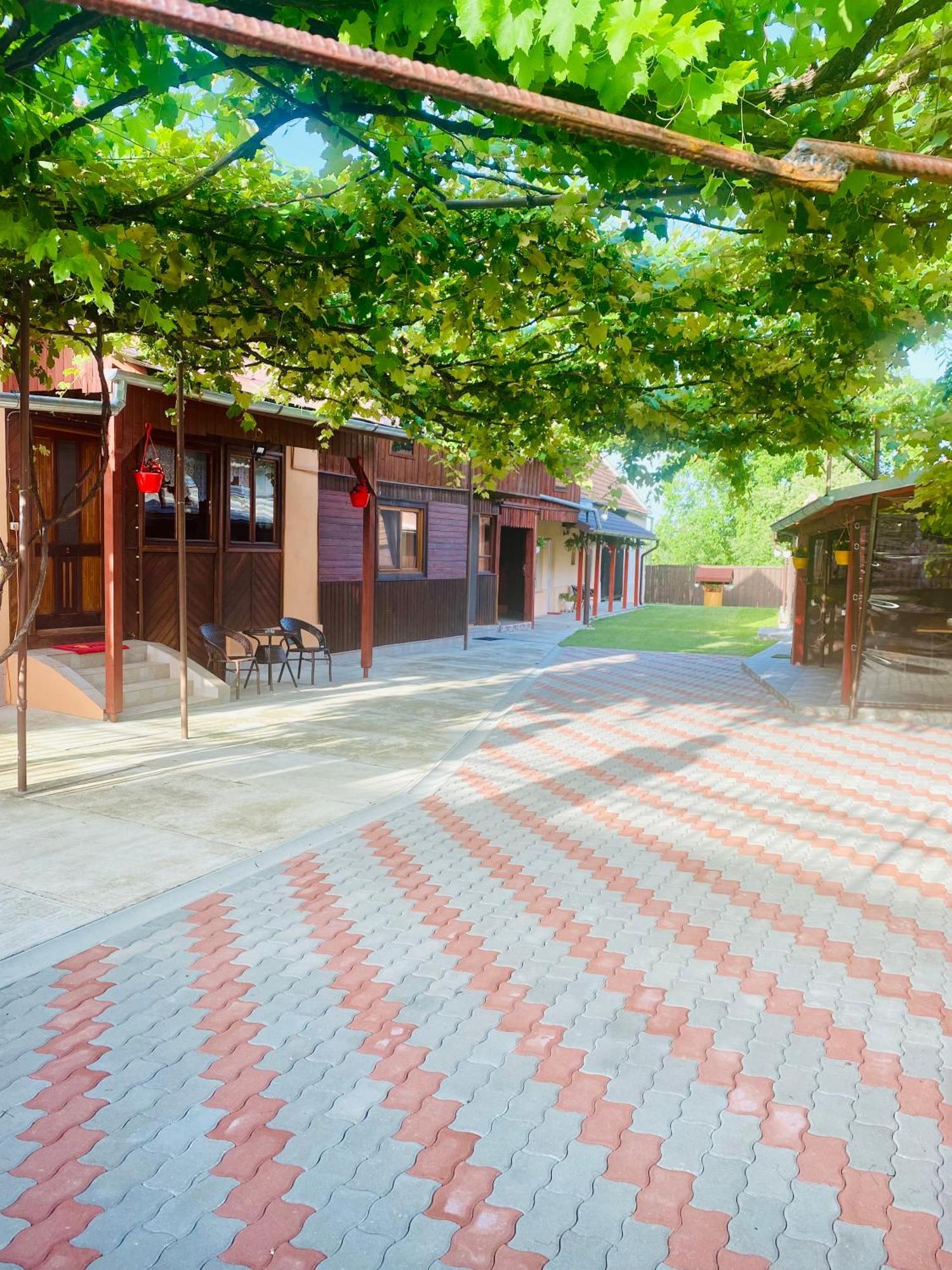 Casa Victoria Hotell Cîrţişoara Exteriör bild
